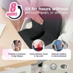 CelinvaTM Orthopedic Cushion Recommended by DR, Andy | Spine specialis - Image 2